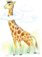 Girafe / Dessin au crayon - 20.-FrS