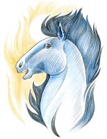 Cheval noir / Dessin au crayon - 20.-FrS