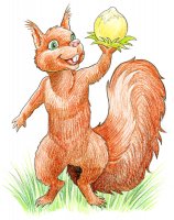 Ecureuil / Dessin au crayon - 20.-FrS