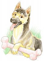 Sylf et son os / Dessin au crayon - 20.-FrS