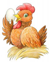 Poulette / Dessin au crayon - 20.-FrS