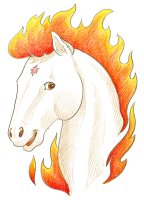 Cheval de feu / Dessin au crayon - 20.-FrS