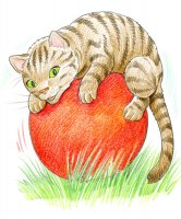 Chat sur boule rouge / Dessin au crayon - 20.-FrS