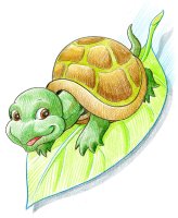 Tortue sur feuille / Dessin au crayon - 20.-FrS