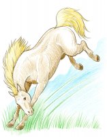 Cheval qui rue / Dessin au crayon - 20.-FrS
