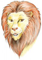 Lion / Dessin au crayon - 20.-FrS