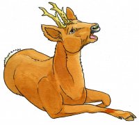 Dessin chevreuil dans SYLF