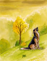 Dessin Sylf 3