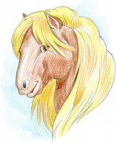Poney Palomino / Dessin au crayon - 20.-FrS