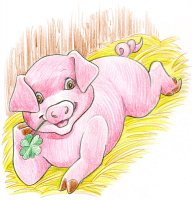 Cochonnet / Dessin au crayon - 20.-FrS