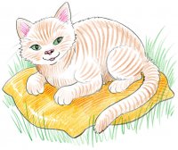 Chat blanc  / Dessin au crayon - 20.-FrS