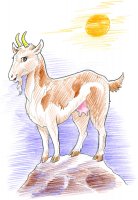 Chèvre en montagne / Dessin au crayon - 20FrS