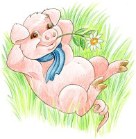 Cochon relax / Dessin au crayon - 20 FrS