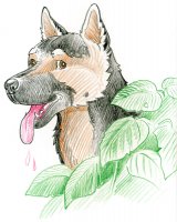 Sylf / Dessin au crayon - 20 FrS