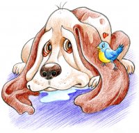 Basset mélancolique / Dessin au crayon - 20 FrS