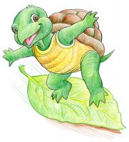 Tortue en skate / Dessin au crayon - 20 FrS