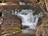 Chute, Bois de Vernand-Dessous