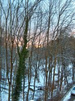 Coucher de soleil, hiver 2008