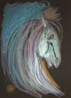 Cheval Argent / Cire métallisée sur papier noir, 30x40 cm, 200.- SFr