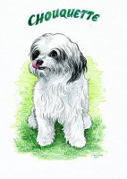 Portrait de Chouquette / Voir sa photo aussi!